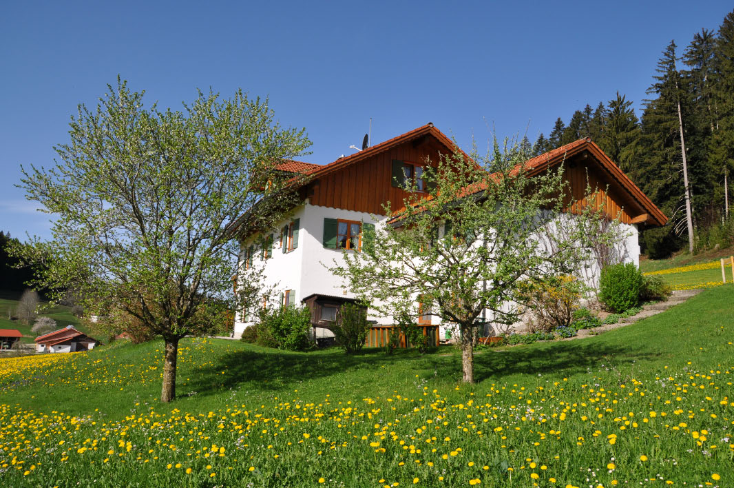 Liebevoll gepflegte Außenansicht unseres Ferienhauses