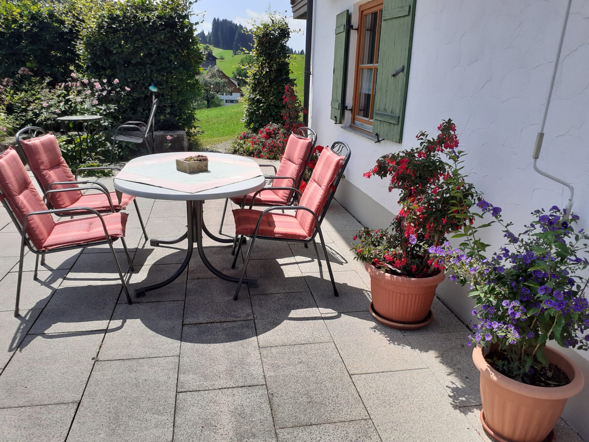 Blumenpracht auf der Terrasse mit herrlichem Ausblick ins Grüne